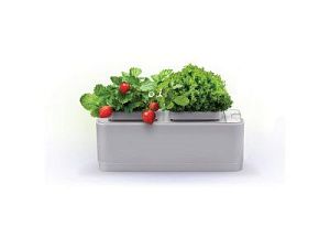 Компактный смарт-сад «iGarden», цвет: белый, серый