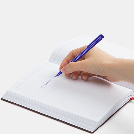 Ручка шариковая Penpal, синяя