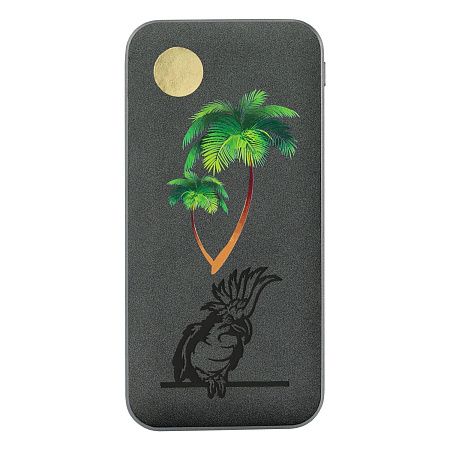 Внешний аккумулятор Ин Велюр (In Velour) 10000 mAh, серый