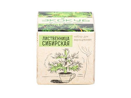 Набор для выращивания «Лаванда»