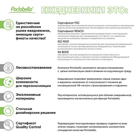 Ежедневник Альфа (Alpha) недатированный, серый/бирюзовый