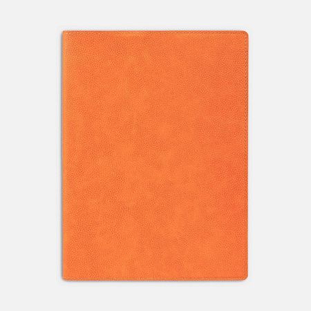 Ежедневник в суперобложке Brave Book, недатированный, оранжевый