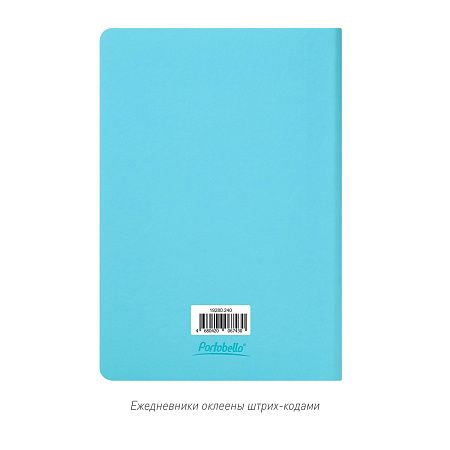 Ежедневник Спарк (Spark) недатированный, лазурный (с упаковкой, со стикерами)